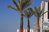 Benidorm (35)